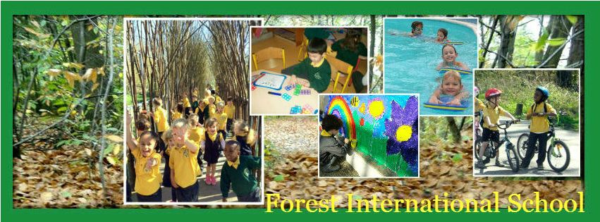 Activities at Forest International School