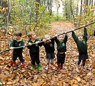 Children exploring the forest